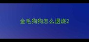 金毛狗狗怎么退烧