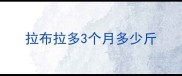 拉布拉多3个月多少斤