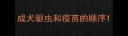 成犬驱虫和疫苗的顺序