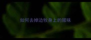 如何去掉边牧身上的腥味