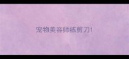 宠物美容师练剪刀
