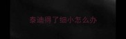 泰迪得了细小怎么办