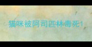 猫咪被阿司匹林毒死