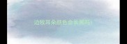 边牧耳朵颜色会长黑吗