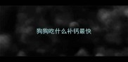 狗狗吃什么补钙最快