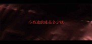 小泰迪的疫苗多少钱