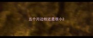 五个月边牧还是很小