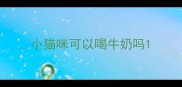小猫咪可以喝牛奶吗