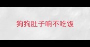 狗狗肚子响不吃饭