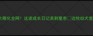 边牧幼犬两个月大萌化全网这波成长日记美到窒息边牧幼犬宠物日常萌宠养成记