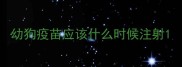 幼狗疫苗应该什么时候注射