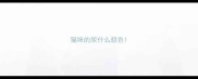 猫咪的尿什么颜色