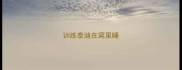 训练泰迪在窝里睡
