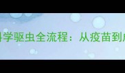 拉布拉多幼犬科学驱虫全流程从疫苗到成犬的完整指南