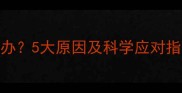 猫咪呕吐猫粮怎么办5大原因及科学应对指南附喂食建议