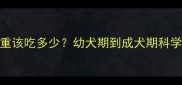 泰迪犬1斤多重该吃多少幼犬期到成犬期科学喂养全攻略