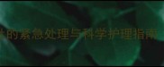边牧接种疫苗后腹泻呕吐的紧急处理与科学护理指南附疫苗反应应对方案