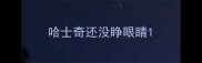 哈士奇还没睁眼睛