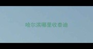 哈尔滨哪里收泰迪
