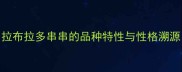 拉布拉多串串的品种特性与性格溯源