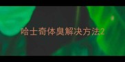 哈士奇体臭解决方法
