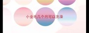 小金毛几个月可以洗澡