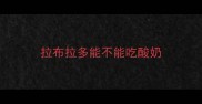拉布拉多能不能吃酸奶