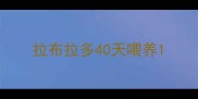 拉布拉多40天喂养