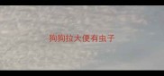 狗狗拉大便有虫子