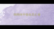 狗狗体外驱虫怎么做