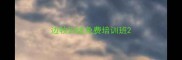 边牧训练免费培训班