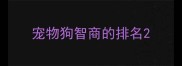 宠物狗智商的排名