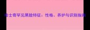 哈士奇罕见黑脸特征性格养护与识别指南