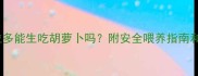 拉布拉多能生吃胡萝卜吗附安全喂养指南和营养