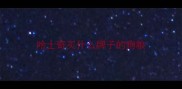 哈士奇买什么牌子的狗粮