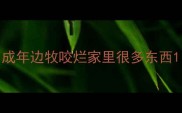 成年边牧咬烂家里很多东西