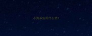 小狗杀虫用什么药
