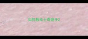如何教哈士奇握手