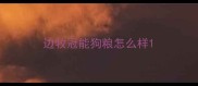 边牧冠能狗粮怎么样
