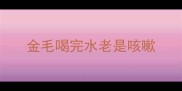 金毛喝完水老是咳嗽