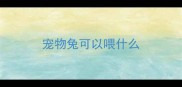 宠物兔可以喂什么
