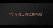 2个月哈士奇拉稀褐色