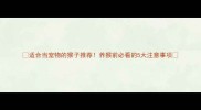 适合当宠物的猴子推荐养猴前必看的5大注意事项