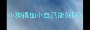 小狗得细小自己能好吗