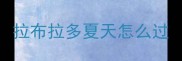 拉布拉多夏天怎么过