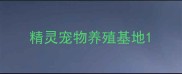 精灵宠物养殖基地