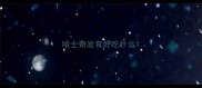 哈士奇发育好吃什么