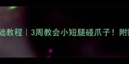泰迪犬握手零基础教程3周教会小短腿碰爪子附赠训练场景示意图