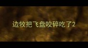 边牧把飞盘咬碎吃了