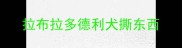 拉布拉多德利犬撕东西
